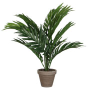 plante artificielle - palmier areca - mica